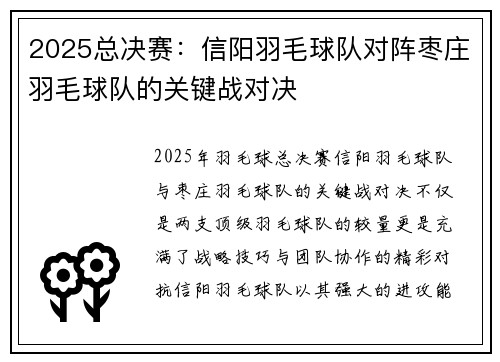 2025总决赛：信阳羽毛球队对阵枣庄羽毛球队的关键战对决