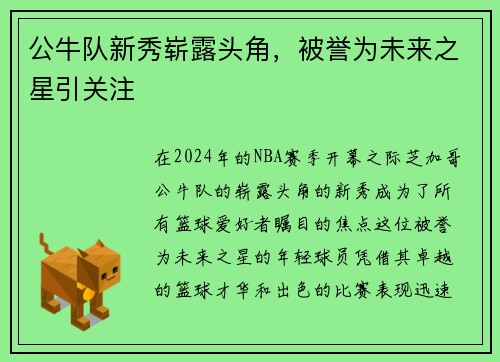 公牛队新秀崭露头角，被誉为未来之星引关注